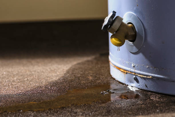 Best Residential water damage restoration  in Williamsburg, FL