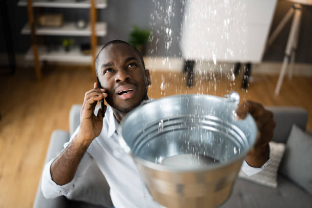 Best Mold removal after water damage  in Williamsburg, FL