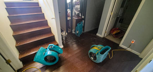 Best Water damage restoration near me  in Williamsburg, FL