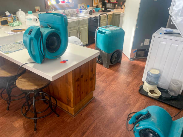 Best Commercial water damage restoration  in Williamsburg, FL