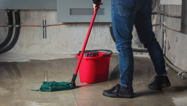 Best Water damage cleanup near me  in Williamsburg, FL