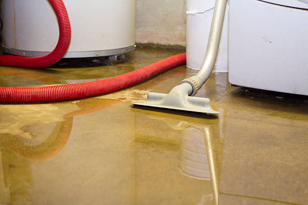 Best Local water damage restoration  in Williamsburg, FL