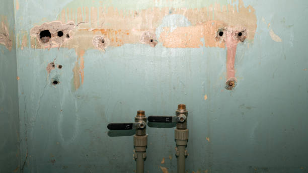 Best Flood damage cleanup  in Williamsburg, FL