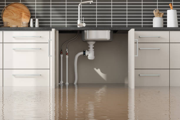 Best Carpet water damage restoration  in Williamsburg, FL